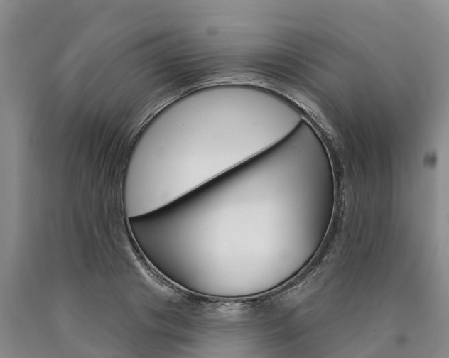 X0000090870841200707270953