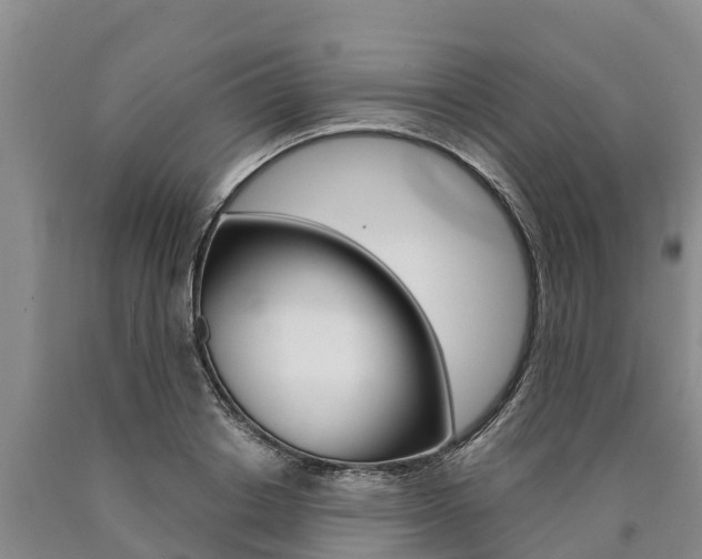 X0000090870842200707270953