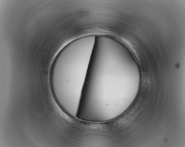 X0000090870843200707270953