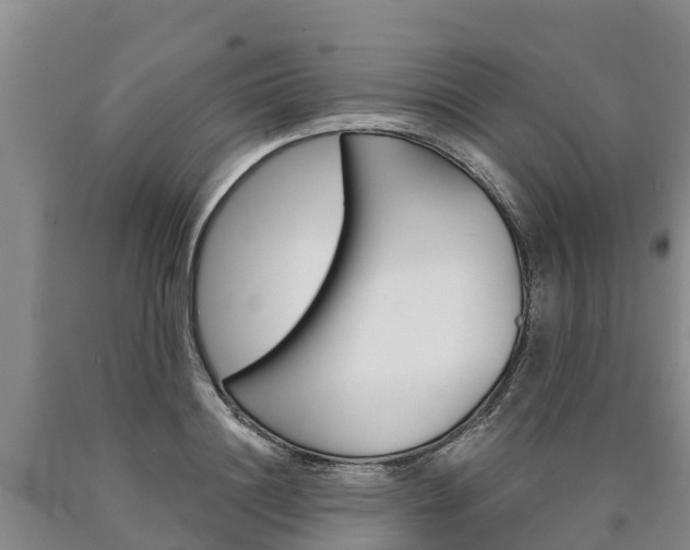 X0000090870844200707270953