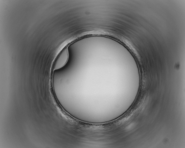 X0000090870845200707270953