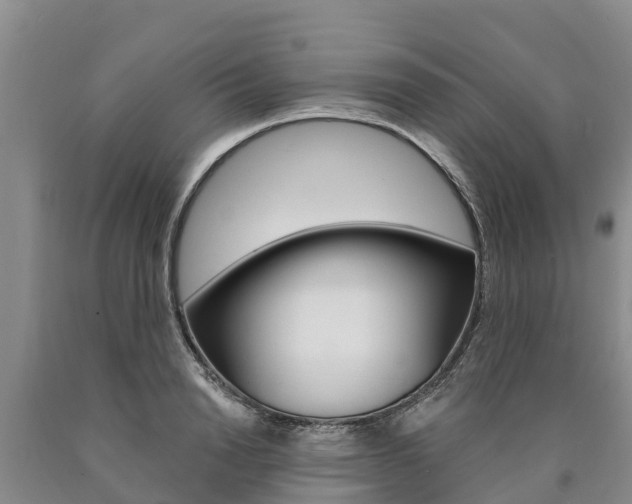 X0000090870846200707270953