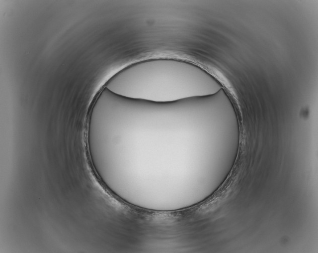 X0000090870847200707270953