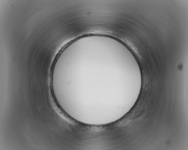 X0000090870848200707270953