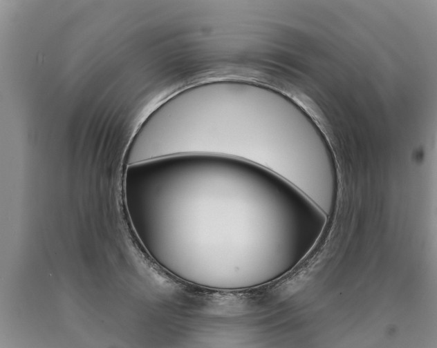 X0000090870850200707270953