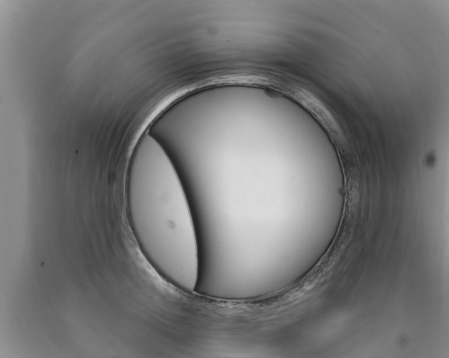 X0000090870852200707270953