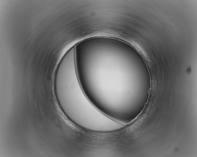 X0000090870854200707270953