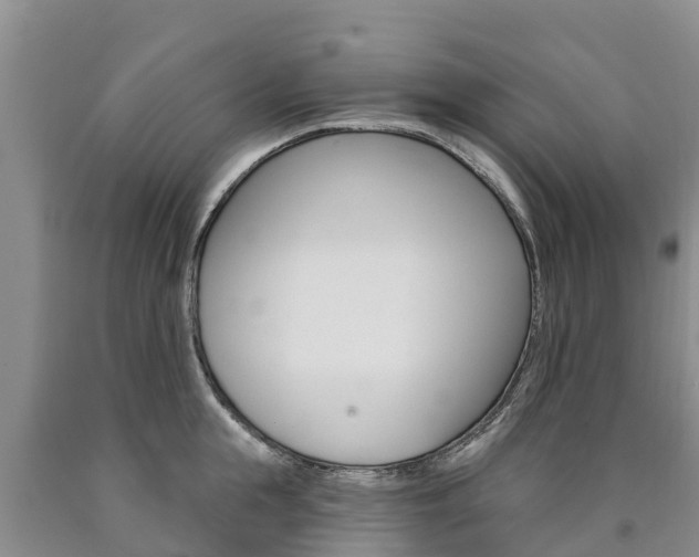 X0000090870855200707270953