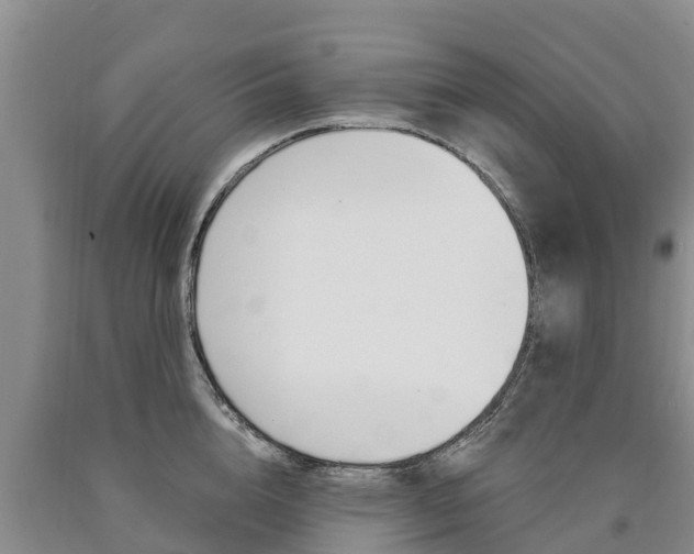 X0000090870856200707270953
