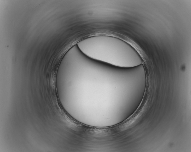 X0000090870857200707270953