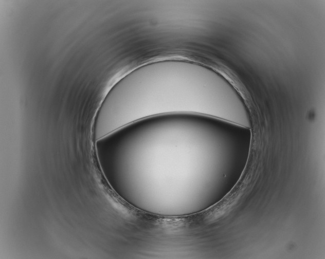 X0000090870858200707270953