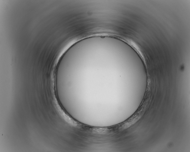 X0000090870859200707270953