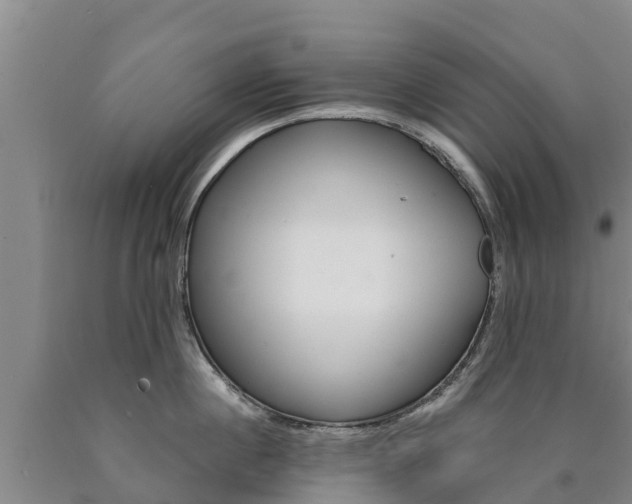 X0000090870860200707270953