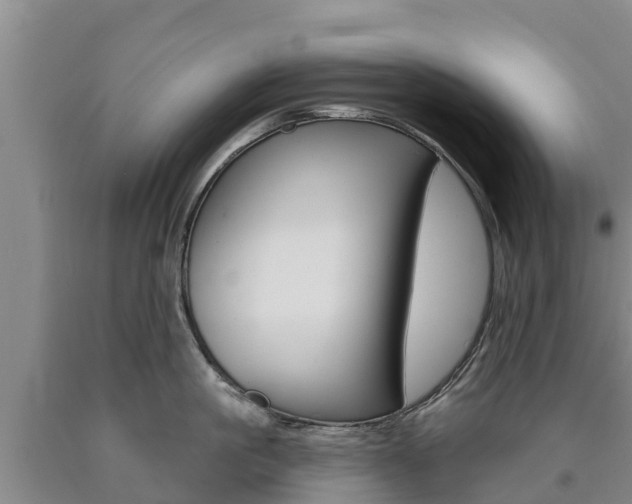 X0000090870861200707270953