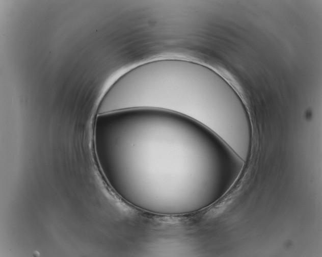 X0000090870862200707270953
