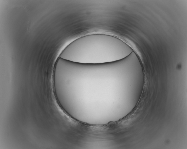 X0000090870863200707270953