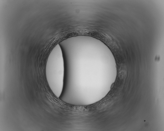 X0000090870866200707270953