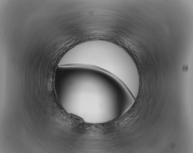 X0000090870868200707270953