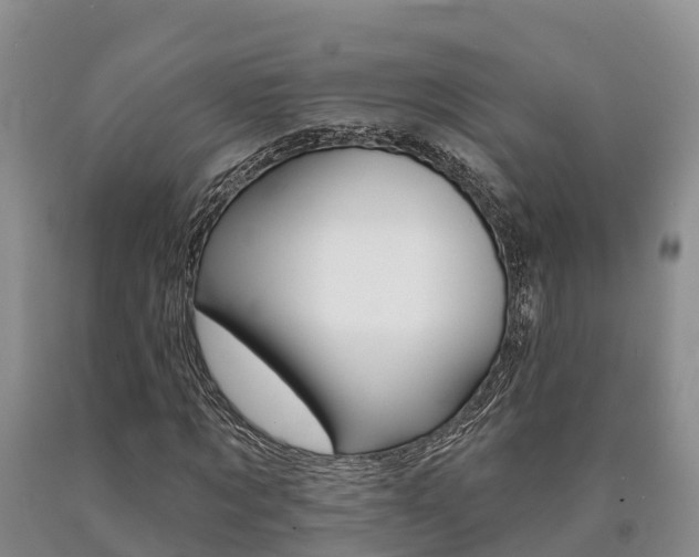 X0000090870869200707270953