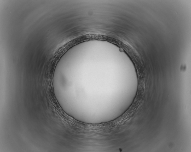 X0000090870870200707270953