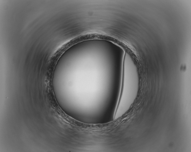 X0000090870872200707270953