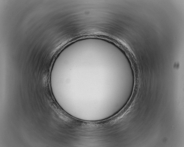 X0000090870873200707270952