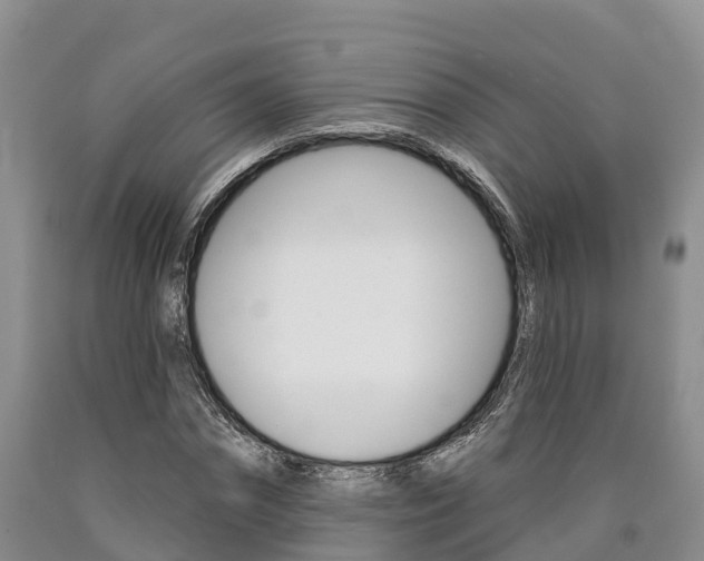 X0000090870874200707270952