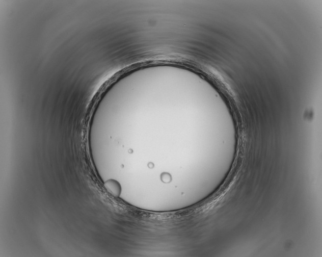 X0000090870875200707270952