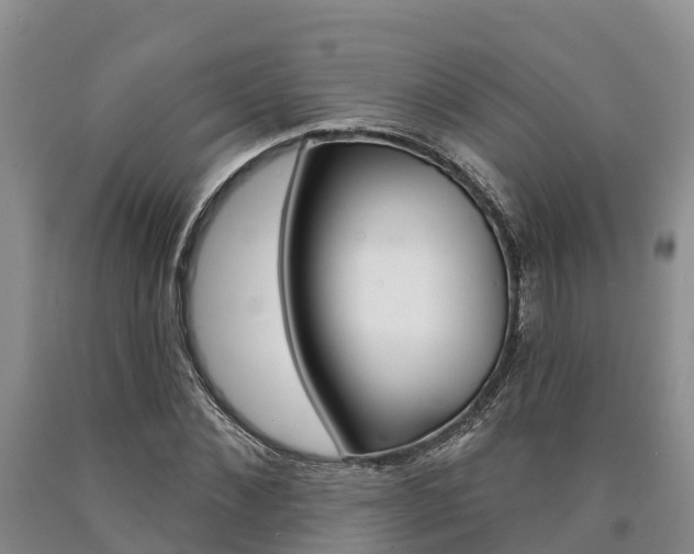 X0000090870876200707270952