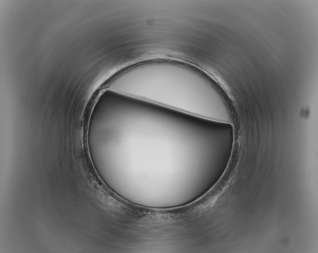 X0000090870877200707270952