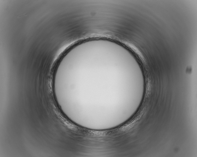X0000090870878200707270952