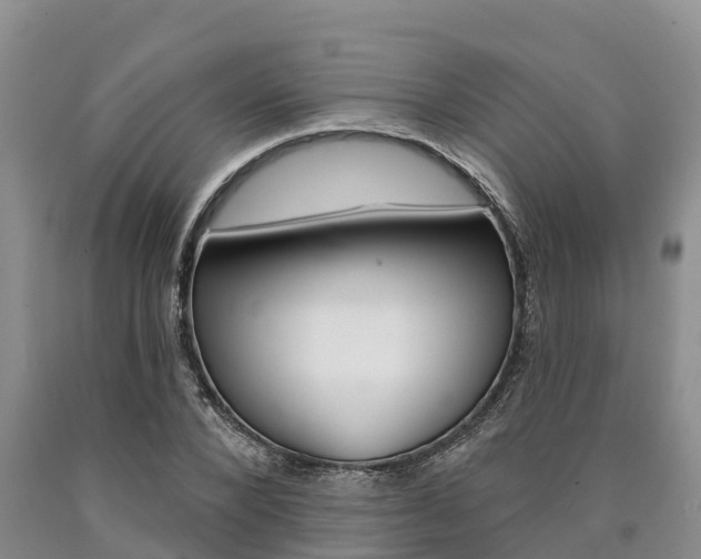 X0000090870880200707270952