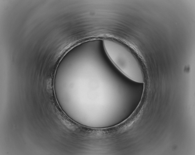 X0000090870881200707270952
