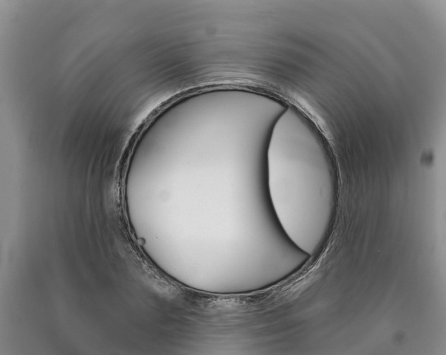 X0000090870883200707270952