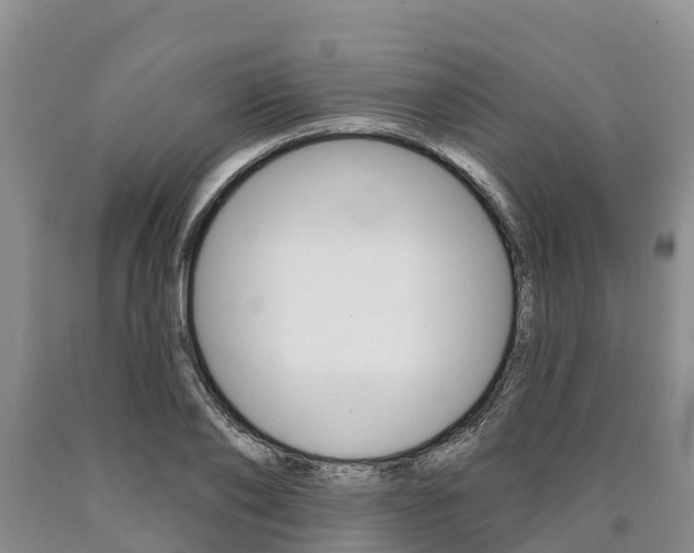 X0000090870886200707270952