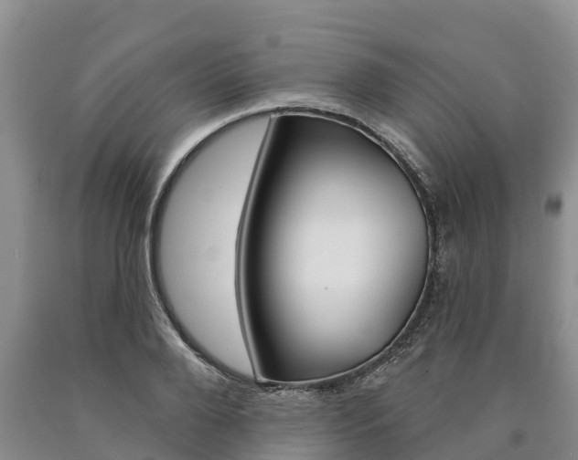 X0000090870888200707270952