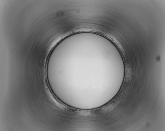 X0000090870890200707270952