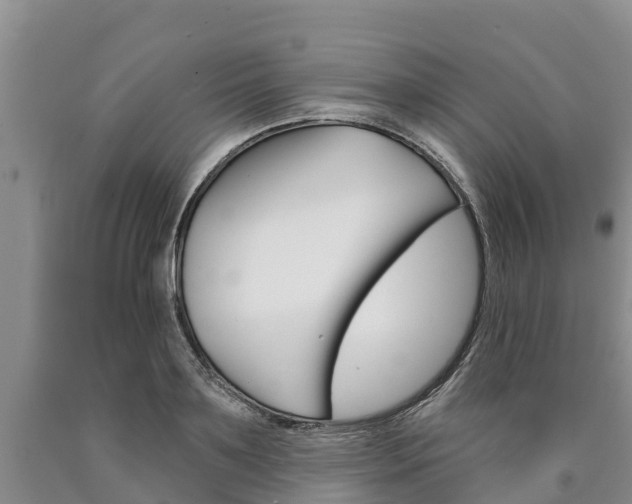 X0000090870891200707270952