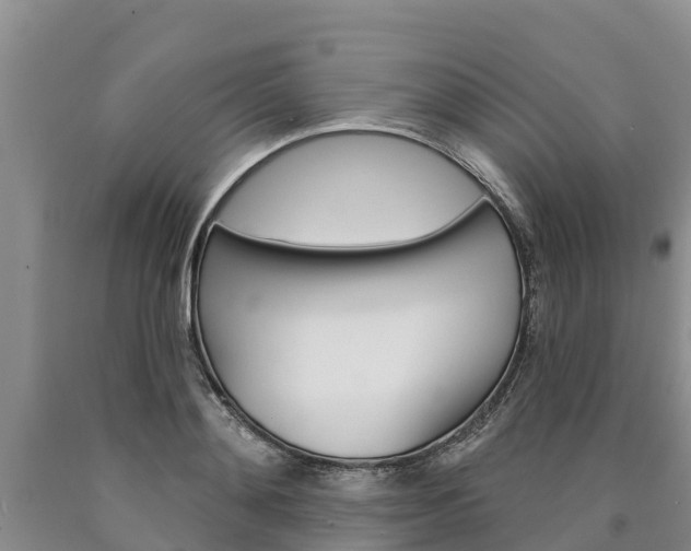 X0000090870892200707270952