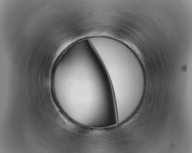 X0000090870894200707270952