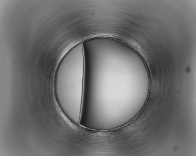 X0000090870898200707270952