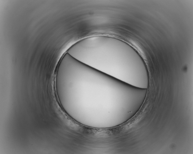 X0000090870899200707270952