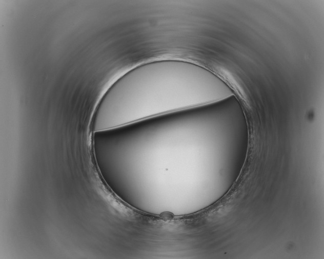 X0000090870900200707270952