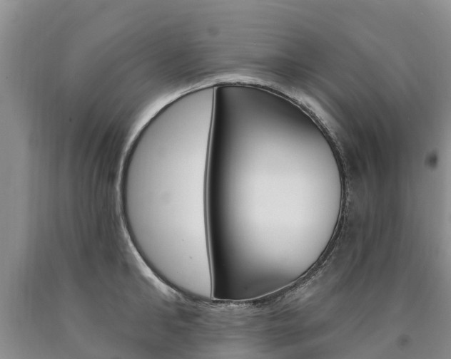 X0000090870902200707270952