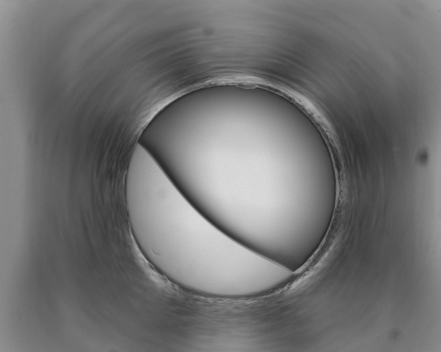 X0000090870905200707270952