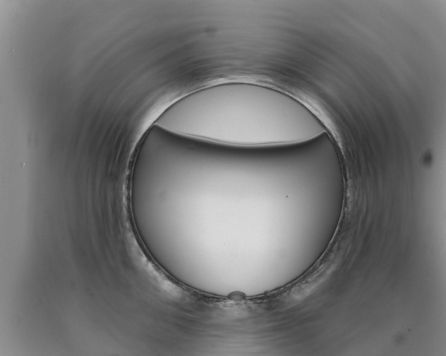 X0000090870906200707270952