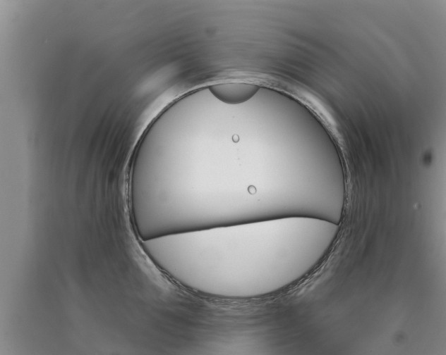X0000090870907200707270952