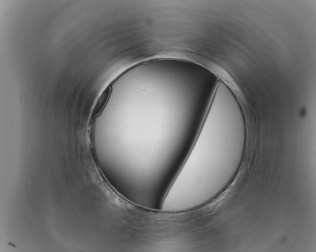X0000090870908200707270952