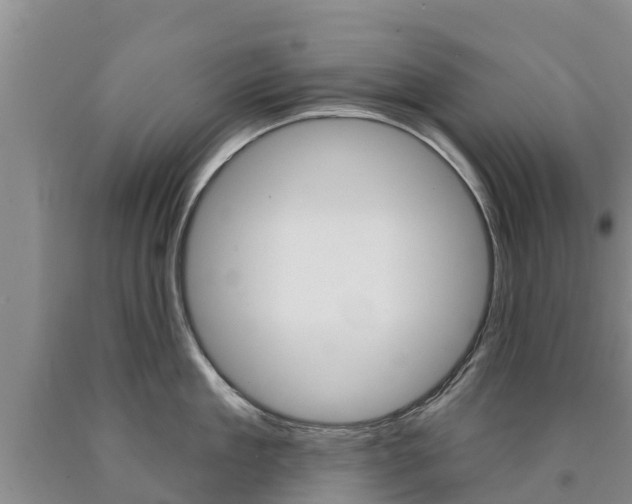X0000090870909200707270952