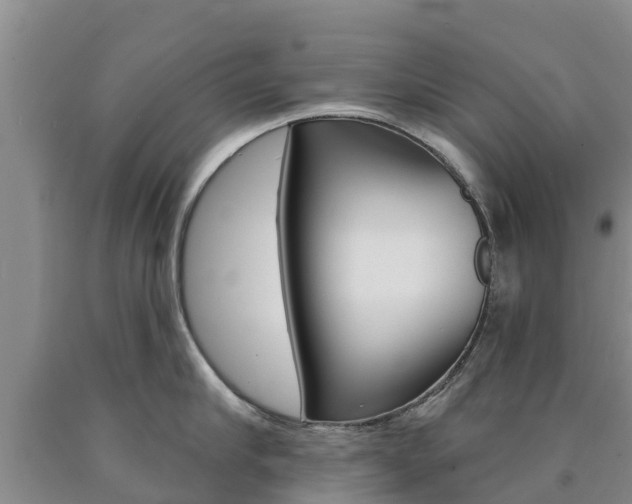 X0000090870910200707270952